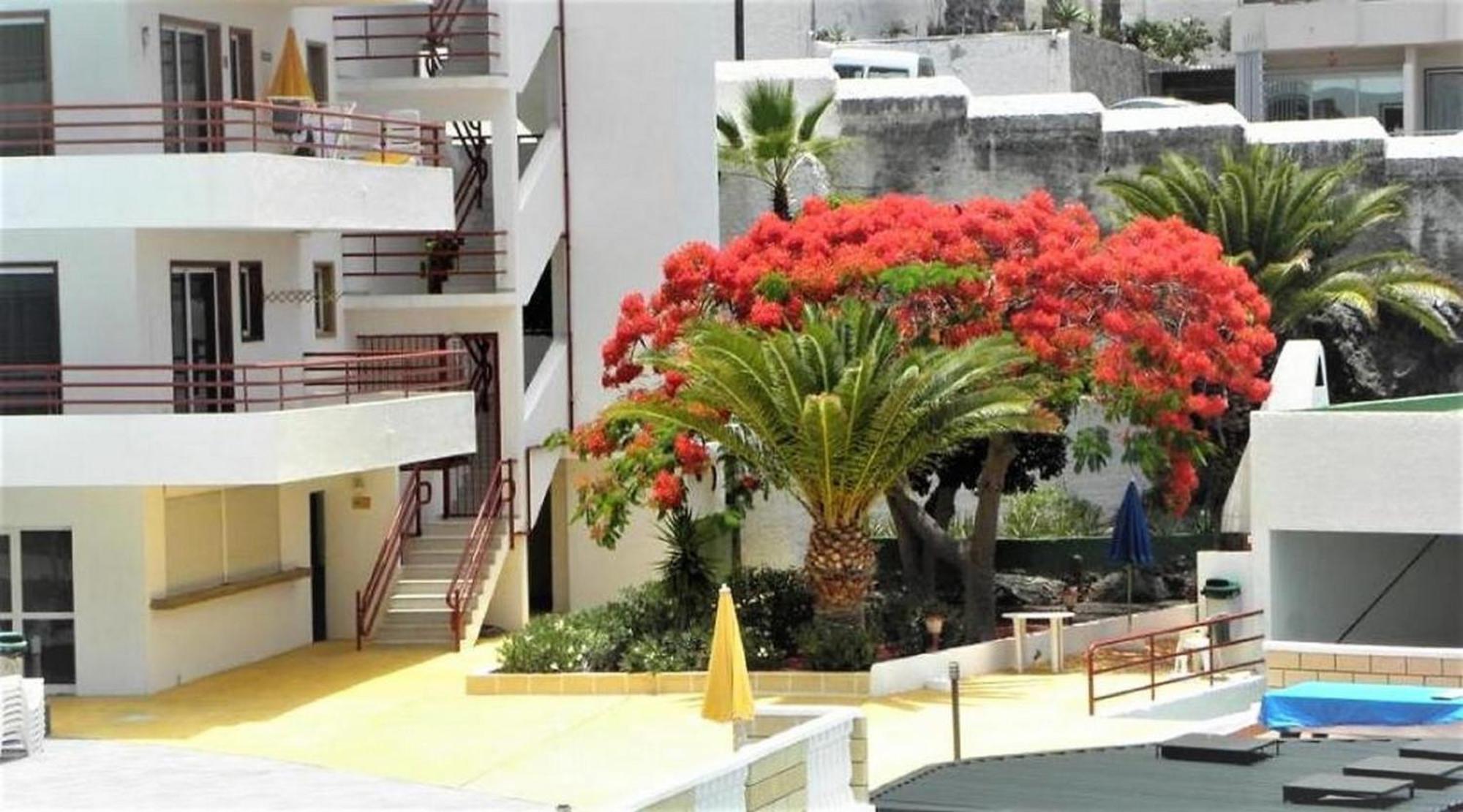 Apartamento Sol & Arena Puerto de Santiago  Kültér fotó